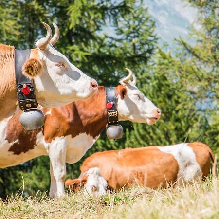 Chalet Heimetli グレヘン エクステリア 写真