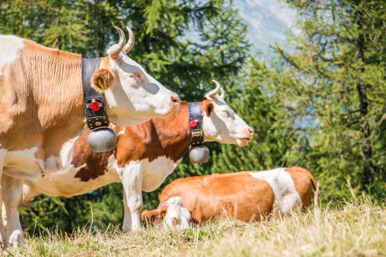 Chalet Heimetli グレヘン エクステリア 写真